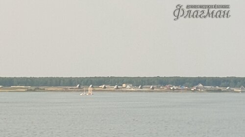 20190804_200900_r